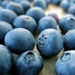 Blueberry Extract