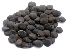 Griffonia Seed Extract-5HTP
